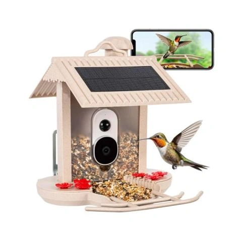 HiBirds Smart Bird Feeder with Camera Bird Watching Camera with Solar  Panels beige