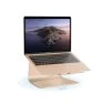 Rain Design 360 mStand Soporte para portátil oro  sticky