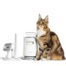 Neakasa P0 Pro/Lite 4 en 1 Kit aspirador para el cuidado de gatos  sticky