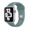 Apple Sport Band Apple Watch 44mm / 45mm / 46mm / 49mm Cactus sticky