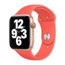 Apple Sport Band Apple Watch 44mm / 45mm / 46mm / 49mm Pink Citrus sticky