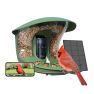 Birdfy Feeder Pro 2 Lite Smart Comedero inteligente para pájaros, con energía solar, cámara y reconocimiento de pájaros AI sticky