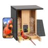 Birdfy Comedero inteligente Bambú para Pájaros con energía solar, cámara y reconocimiento AI sticky