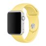 Apple Sport Band Apple Watch 38mm / 40mm / 41mm Pollen sticky