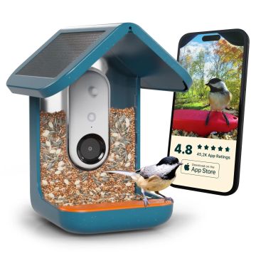 Bird Buddy Smart Bird Pro Comedero Inteligente para p&aacute;jaros con panel solar