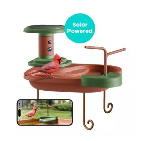 Birdfy Birdbath Jolly V Lite - bañera para pájaros inteligente con cámara y reconocimiento por IA