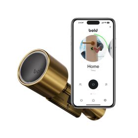 Bold Elite Cilindro de Cerradura Inteligente SX33 Latón