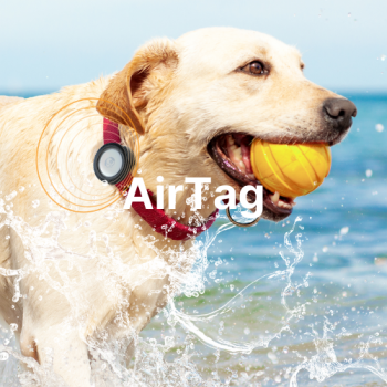 Categoría Catalyst AirTag image