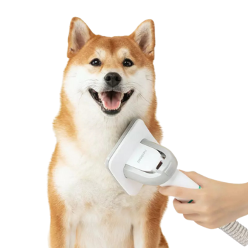 Categoría Cuidado de mascotas image